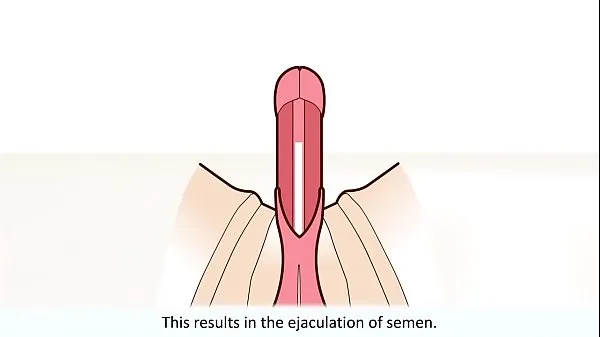 Fresh The male orgasm explained fresh Movies