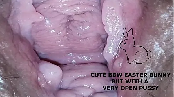 최신 Cute bbw bunny, but with a very open pussy 최신 영화
