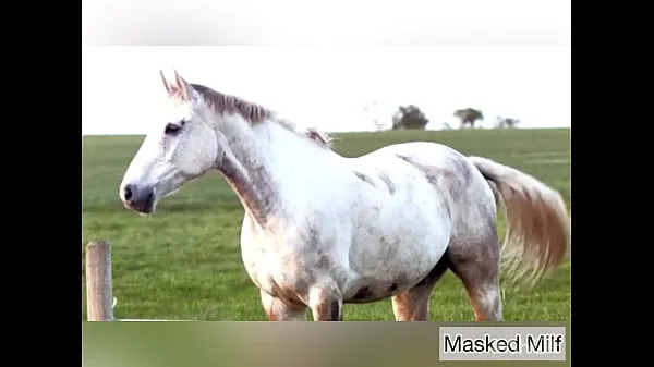 Ferske Horny Milf takes giant horse cock dildo compilation | Masked Milf ferske filmer